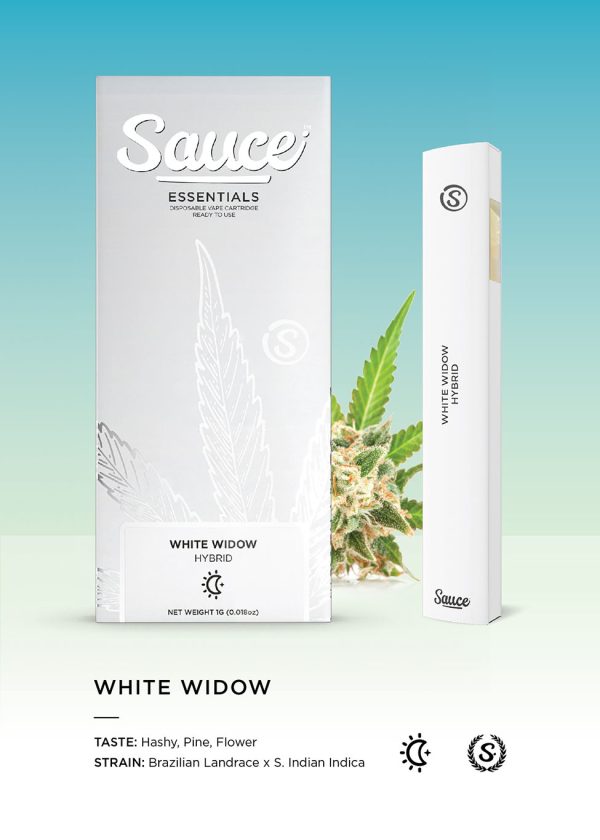 sauce pen